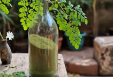 Manfaat Daun Kelor untuk Kesehatan Tubuh Dari ASI Lancar Sampai Hal-Hal Ajaib Lainnya!